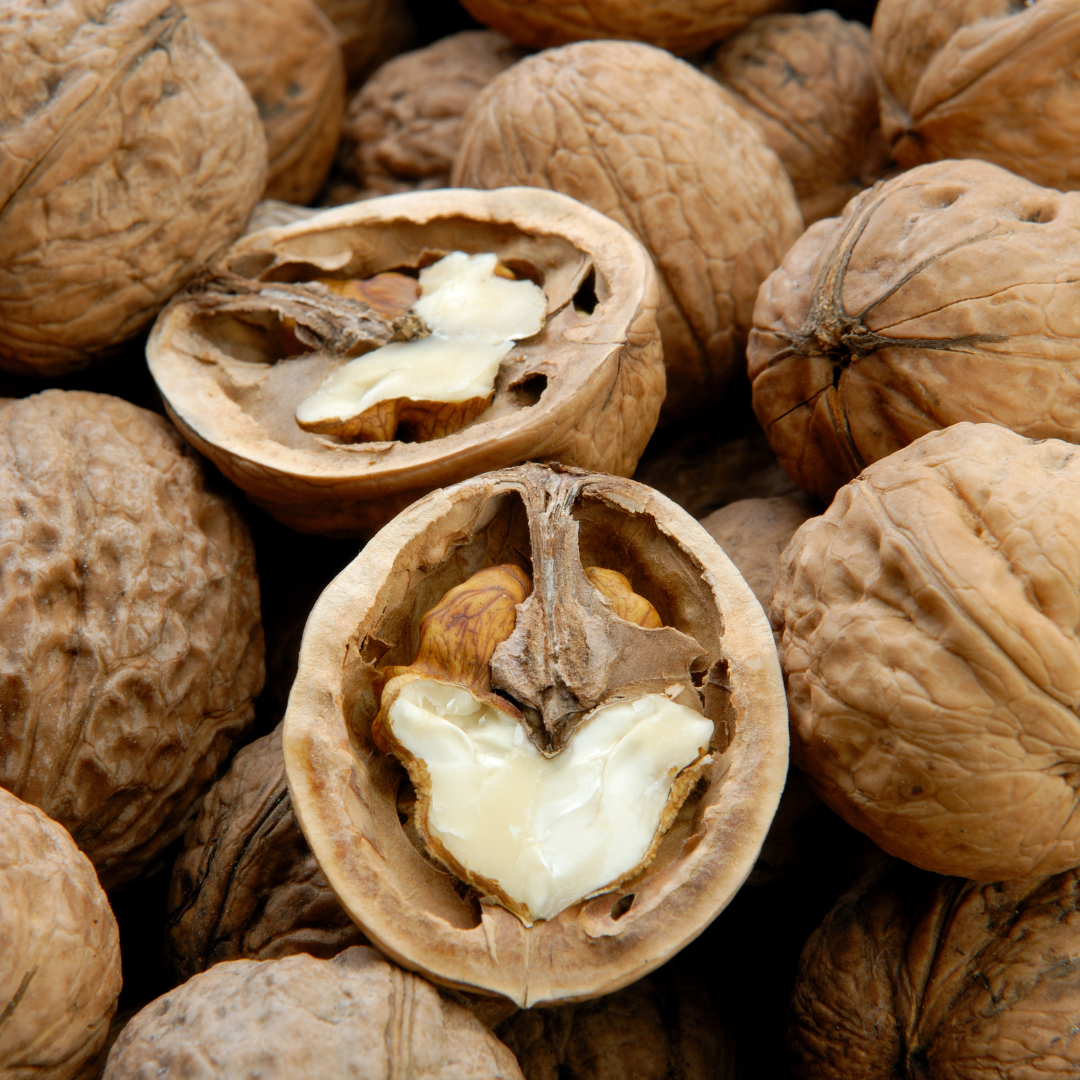 Fernor-Walnuss Fernor Walnuss