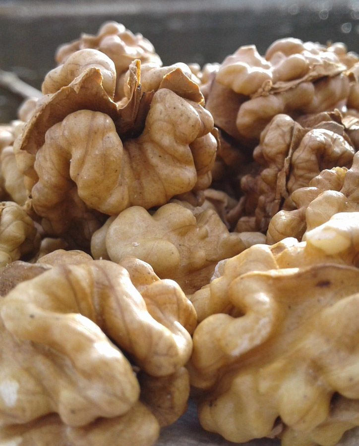 walnuss-baum-product-back3