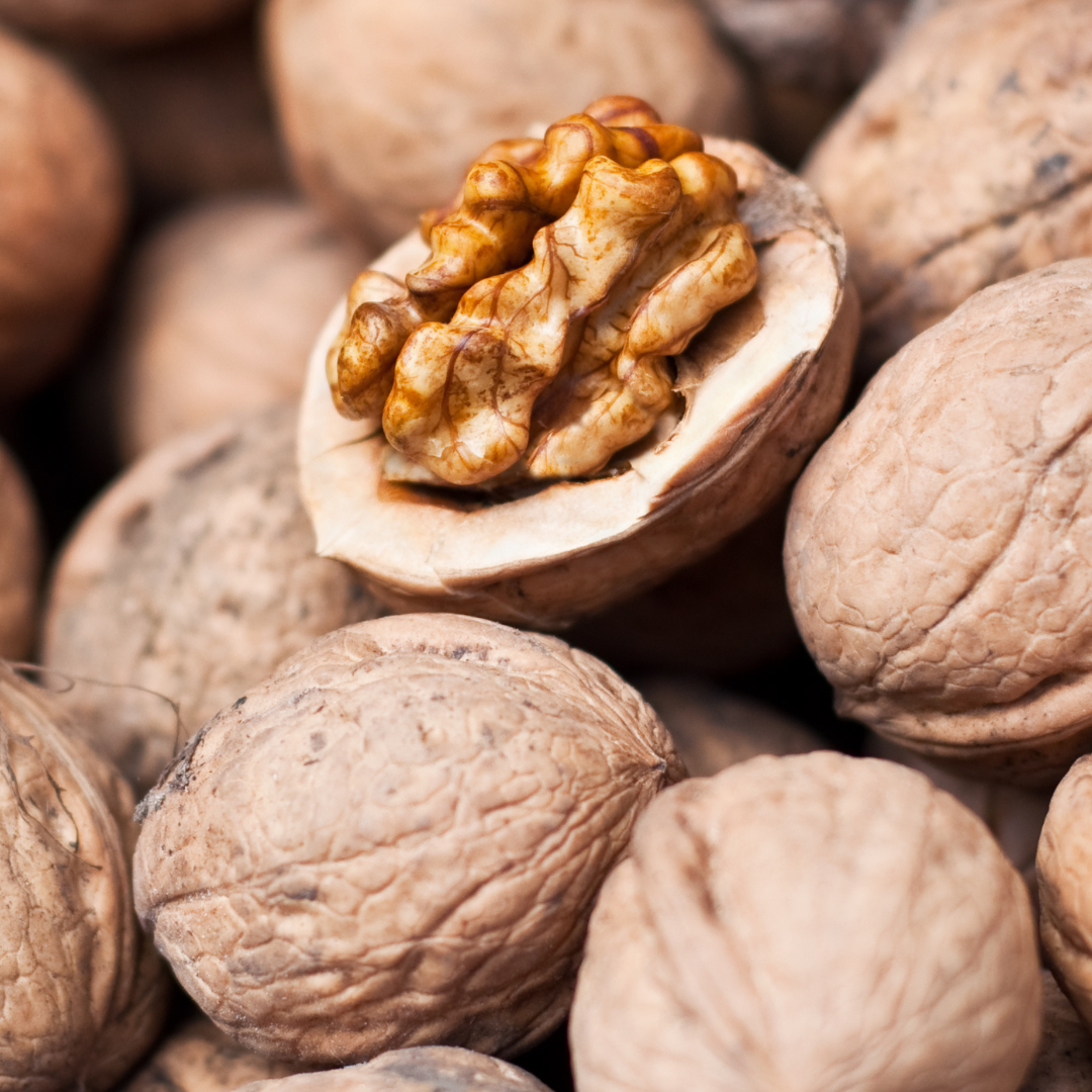 Lara-Walnuss Lara Walnuss